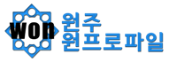 원 프로파일